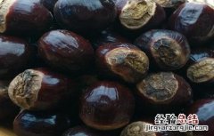 龙眼核功效与作用 龙眼的核的作用