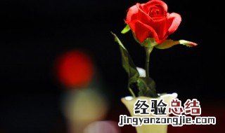 2023年三月十四日是什么日子 三月十四日是什么日子