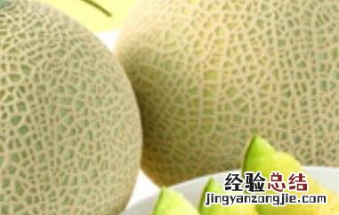 网纹瓜的功效与作用及禁忌是什么 网纹瓜的功效与作用及禁忌