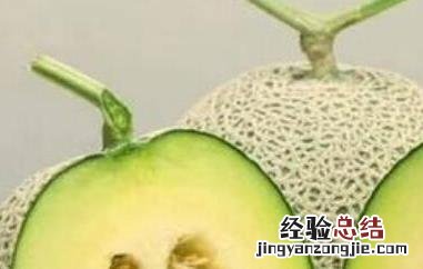 网纹瓜的功效与作用及禁忌是什么 网纹瓜的功效与作用及禁忌