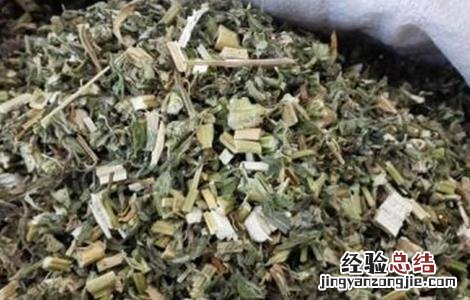 花椒艾叶益母草的功效与作用及禁忌 益母草的功效与作用及禁忌