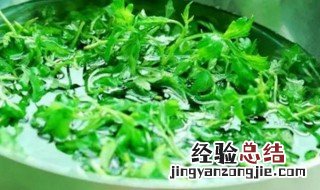 鲜艾叶汤功效与作用机理 鲜艾叶汤功效与作用机理及禁忌