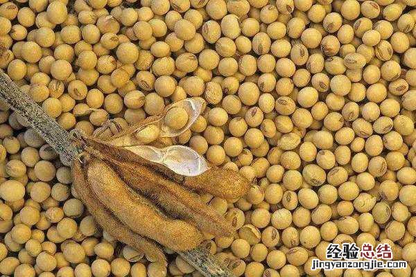 大豆中后期怎么施肥能高产，施什么肥效果好