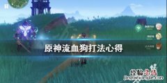 原神流血狗怎么打好打 原神流血狗怎么打