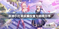 原神 小灯草采集路线 原神小灯草哪里采集