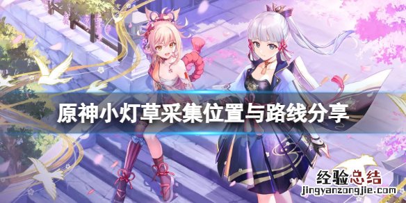 原神 小灯草采集路线 原神小灯草哪里采集