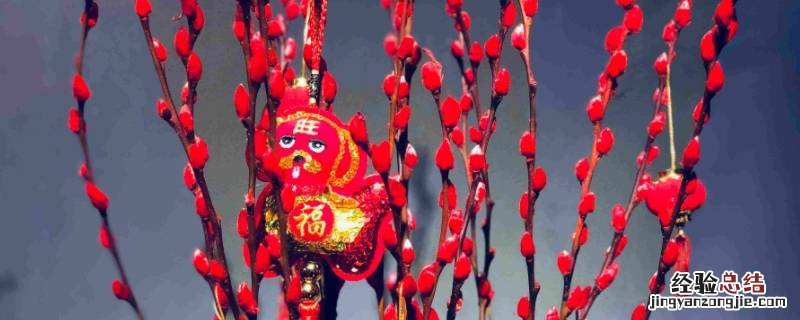 银柳怎么会掉色 银柳会掉色吗