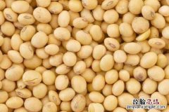 大豆价格还能上涨吗，近期行情好吗 明年的大豆价格会上涨吗