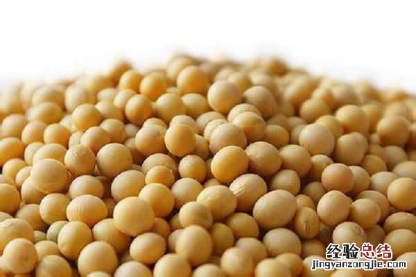大豆价格还能上涨吗，近期行情好吗 明年的大豆价格会上涨吗