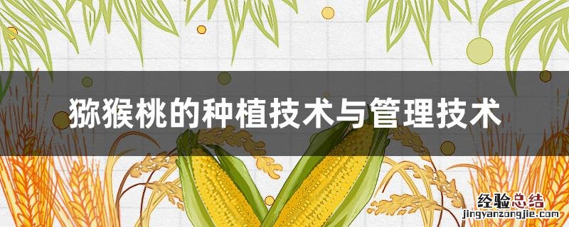 猕猴桃的种植技术与管理技术经常便秘怎么办 猕猴桃的种植技术与管理技术
