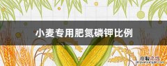 小麦专用肥氮磷钾比例 小麦专用肥氮磷钾比例多少