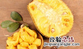菠萝蜜放一晚会坏吗 菠萝蜜放一晚上会不会坏