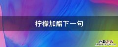 柠檬加醋下一句 柠檬加醋的反义词