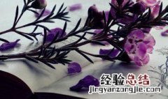 怪石是什么意思 怪石是什么意思网络用语