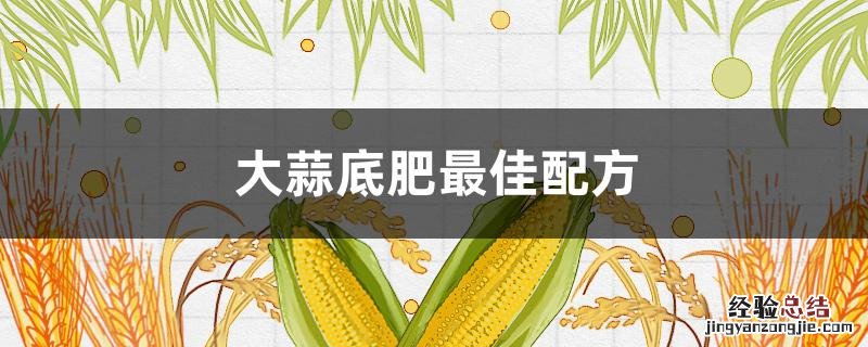 大蒜底肥最佳配方 种大蒜底肥怎么配比最佳