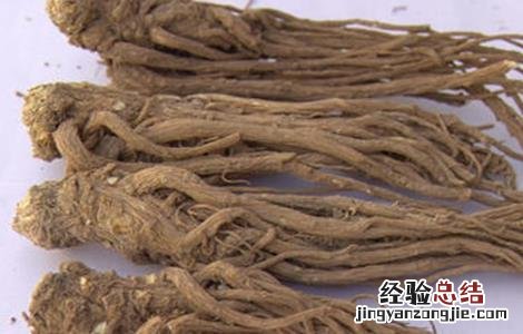 当归的功效作用 当归的功效作用与禁忌