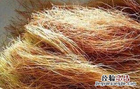玉米须的功效与作用禁忌与副作用有哪些 玉米须的功效与作用禁忌