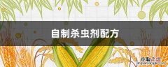 自制杀虫剂配方 小飞虫 自制杀虫剂配方