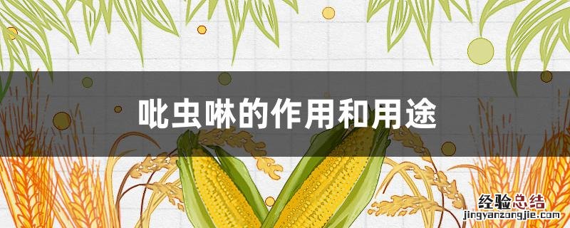 氯氟吡虫啉的作用和用途 吡虫啉的作用和用途