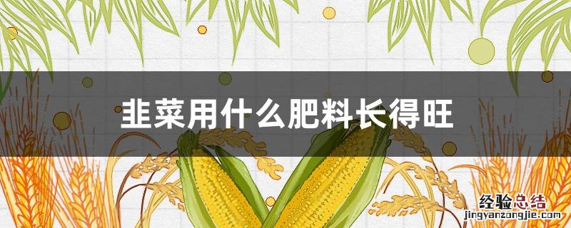 韭菜喜欢什么肥料 韭菜用什么肥料长得旺