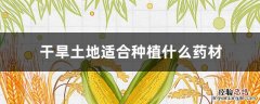 适合旱地生长的药材有哪些 干旱土地适合种植什么药材