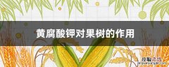 黄腐酸钾对果树的作用 矿源黄腐酸钾在果树上的应用