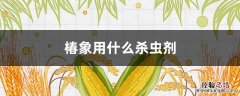 椿象用什么杀虫剂 椿象用什么药杀最好