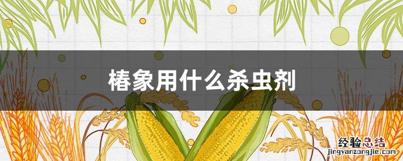椿象用什么杀虫剂 椿象用什么药杀最好