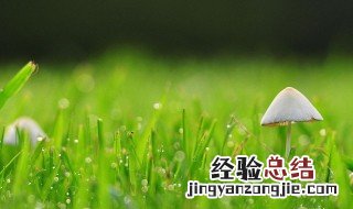 春回大地万物复苏的句子 春回大地万物复苏的句子加拼音