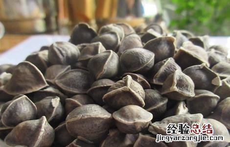 辣木籽的功效和作用及禁忌 辣木籽的功效和作用