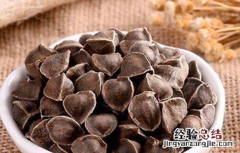 辣木籽的功效和作用及禁忌 辣木籽的功效和作用