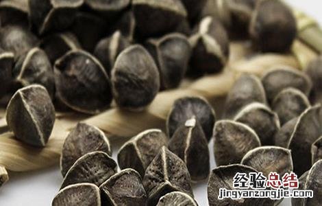 辣木籽的功效和作用及禁忌 辣木籽的功效和作用