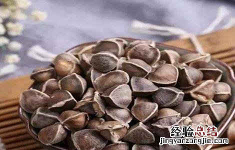 辣木籽的功效和作用及禁忌 辣木籽的功效和作用