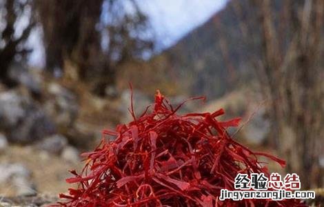 藏红花的功效 藏红花的功效有哪些