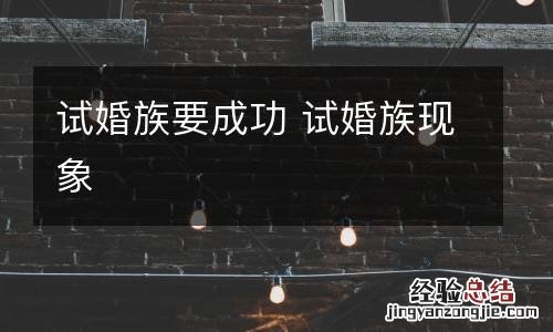 试婚族要成功 试婚族现象