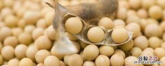农作物菽是指什么 农作物菽是指