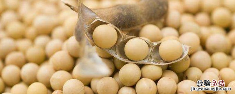 农作物菽是指什么 农作物菽是指