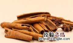 桂皮炖肉好吃吗 肉桂和桂皮哪个更适合炖肉