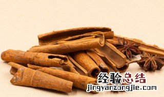 桂皮炖肉好吃吗 肉桂和桂皮哪个更适合炖肉