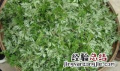 茵陈的营养成分 茵陈的营养价值