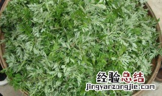 茵陈的营养成分 茵陈的营养价值