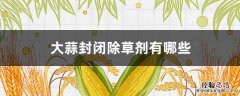 除草剂对大蒜的药害 大蒜封闭除草剂有哪些