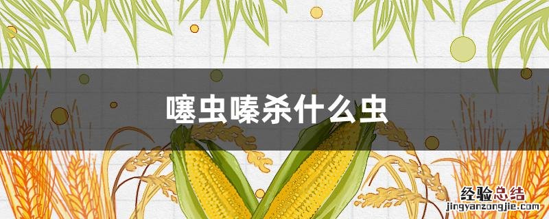 噻虫嗪杀什么虫 联苯噻虫嗪杀什么虫