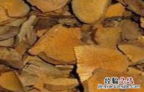 地菍根的功效与作用地 地菍根的功效与作用