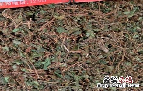地菍根的功效与作用地 地菍根的功效与作用