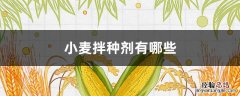 小麦种拌种剂什么剂型比较好 小麦拌种剂有哪些