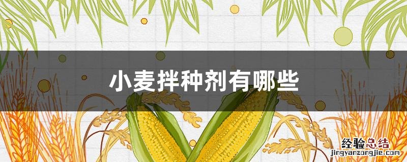小麦种拌种剂什么剂型比较好 小麦拌种剂有哪些