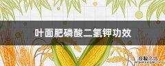 叶面肥磷酸二氢钾功效过期了还能用吗? 叶面肥磷酸二氢钾功效