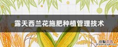 露天西兰花施肥种植管理技术 露天西兰花施肥种植管理技术最新
