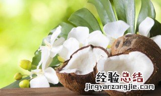 黑皮拉环椰子怎么打开 拉环椰子怎么打开